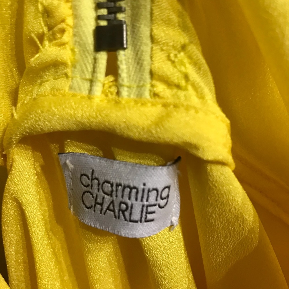 Charming Charlie Top! - Picture 5 of 5